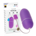 EN LIGNE - OEUF VIBRANT ÉTANCHE LILA