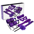 EXPÉRIENCE - KIT FÉTICHE BDSM SÉRIE VIOLETTE