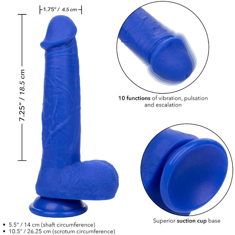 CALEXOTICS - ADMIRAL CAPTAIN DILDO RÉALISTE VIBRANT BLEU