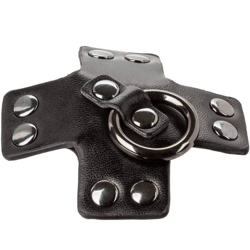 CALEXOTICS - EUPHORIA NIPPLE CUPS O-RING BLACK