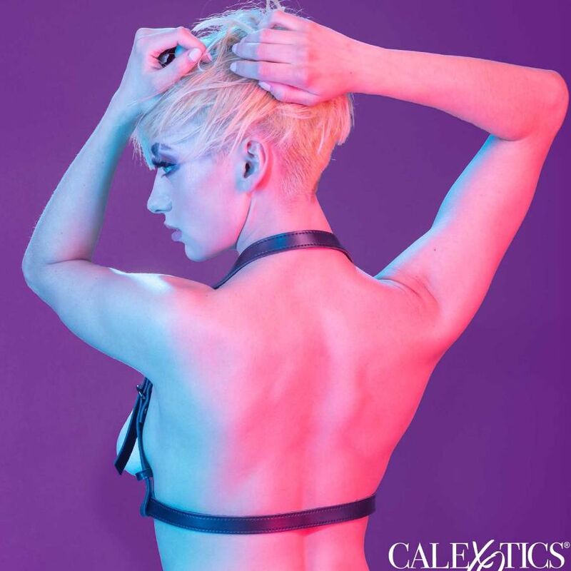 CALEXOTICS - EUPHORIA HATLER HARNESS WITH BUCKLE BLACK