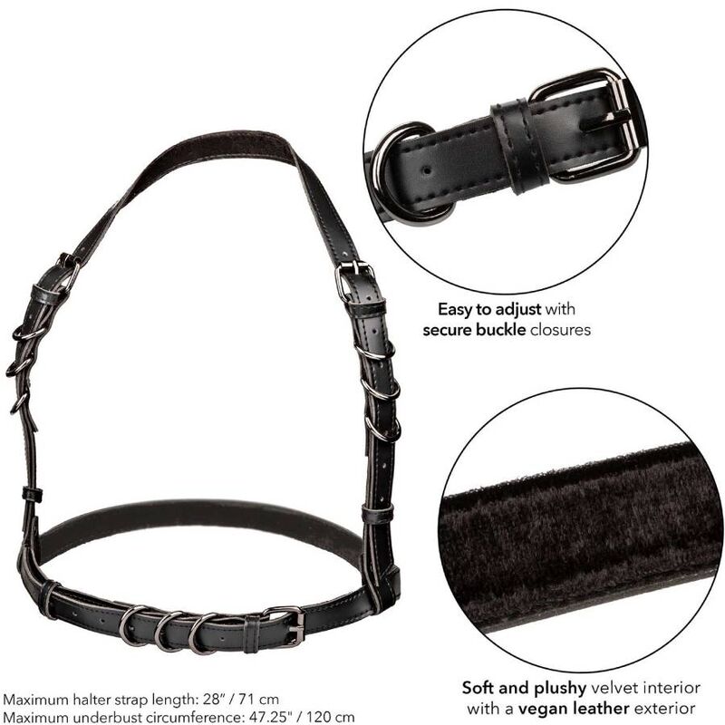 CALEXOTICS - EUPHORIA HARNAIS HATLER AVEC BOUCLE GRANDE TAILLE NOIR