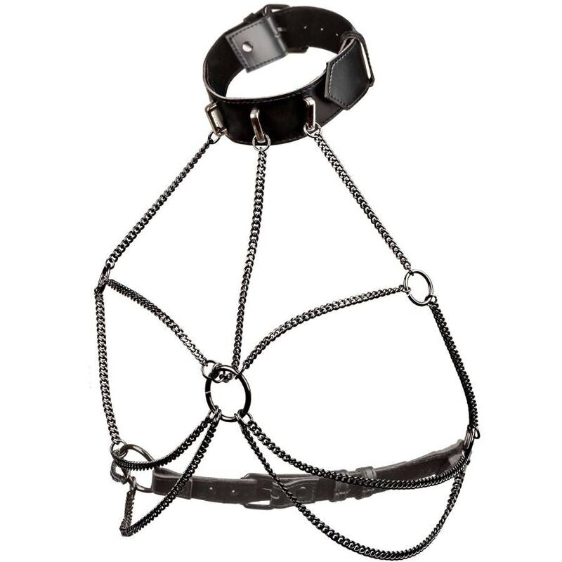 CALEXOTICS - EUPHORIA HARNAIS DE COU À CHAÎNE GRANDE TAILLE