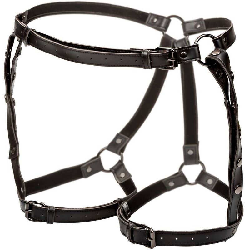 CALEXOTICS - EUPHORIA HARNAIS CUISSE ÉQUITATION GRANDE TAILLE