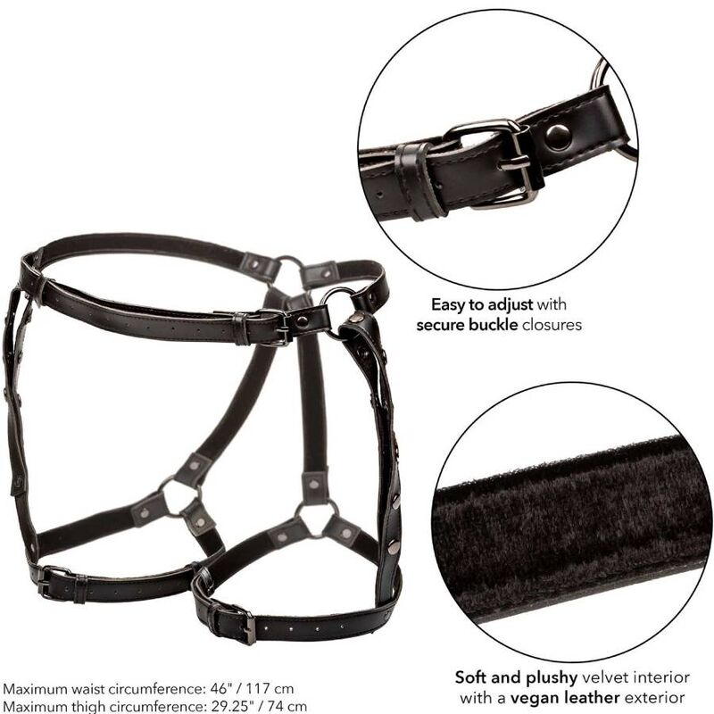 CALEXOTICS - EUPHORIA HARNAIS CUISSE ÉQUITATION GRANDE TAILLE