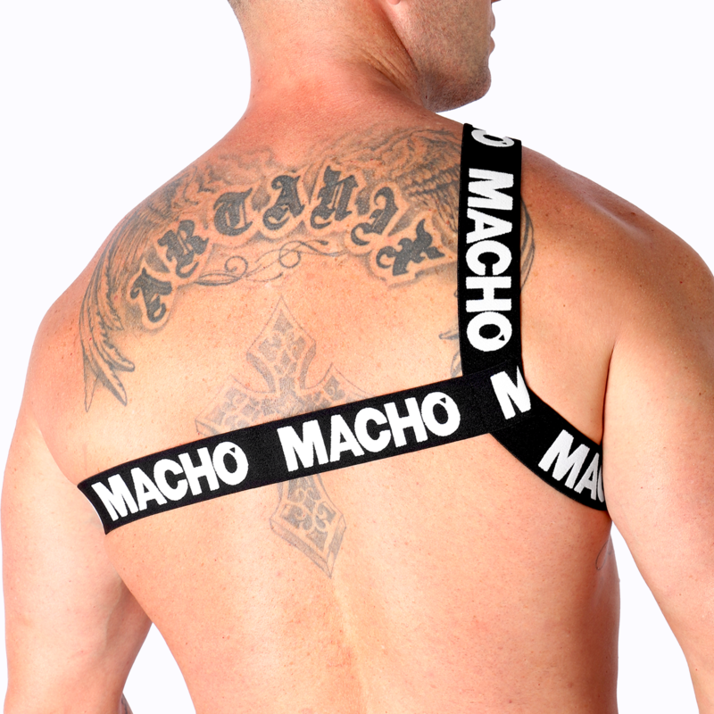 MALE - WHITE ROMAN HARNESS L/XL