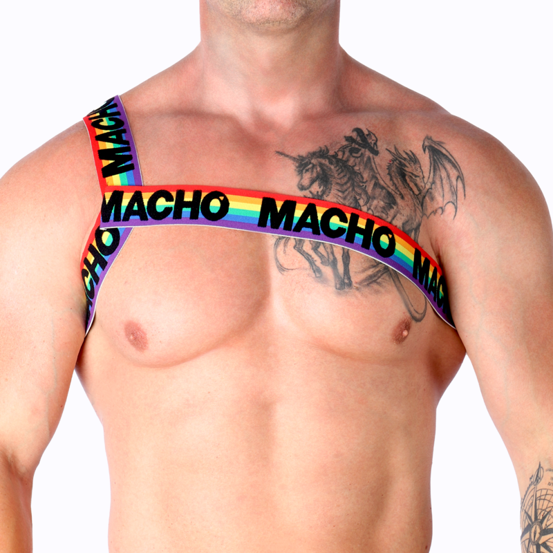 MÂLE - HARNAIS ROMAIN PRIDE T/M