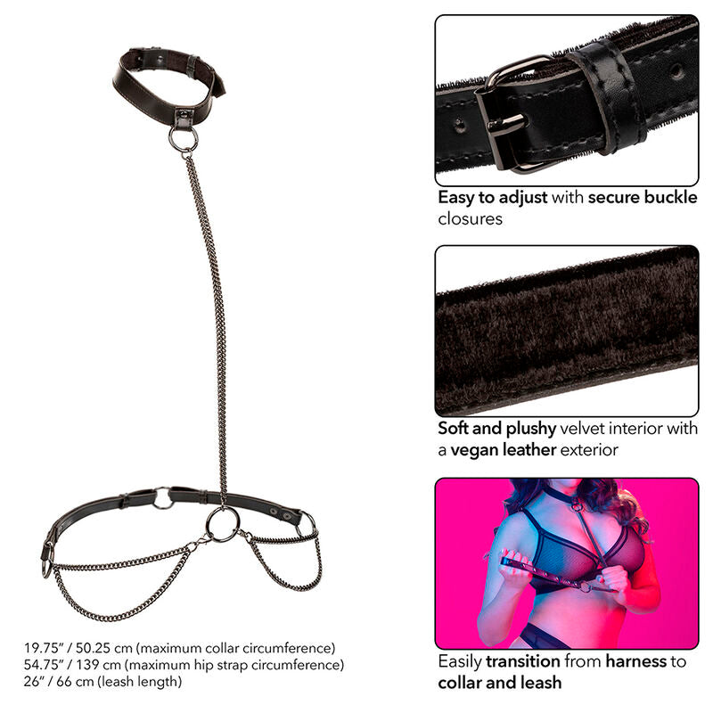 CALEXOTICS - EUPHORIA HALTER COLLAR AND CHAIN ​​STRAP PLUS SIZE