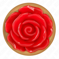 KINK - PLUG ANAL OR ROSE ROSE ROUGE S