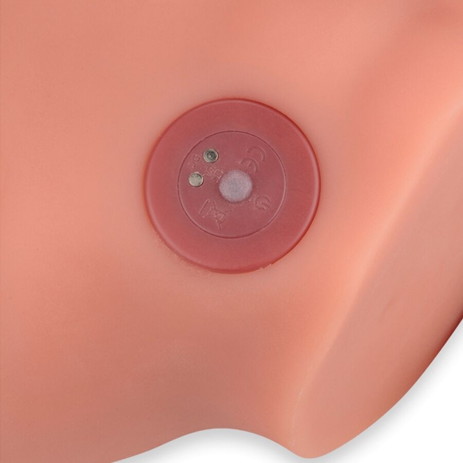 XISE - FREDERICO MASTURBATEUR DILDO RÉALISTE POSITION FRONTALE AVEC MOUVEMENT DE POUSSÉE 15 CM