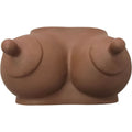 DIABLE PIMENTÉ - TIRELIRE FORME DE SEINS TEINTE FONCÉE