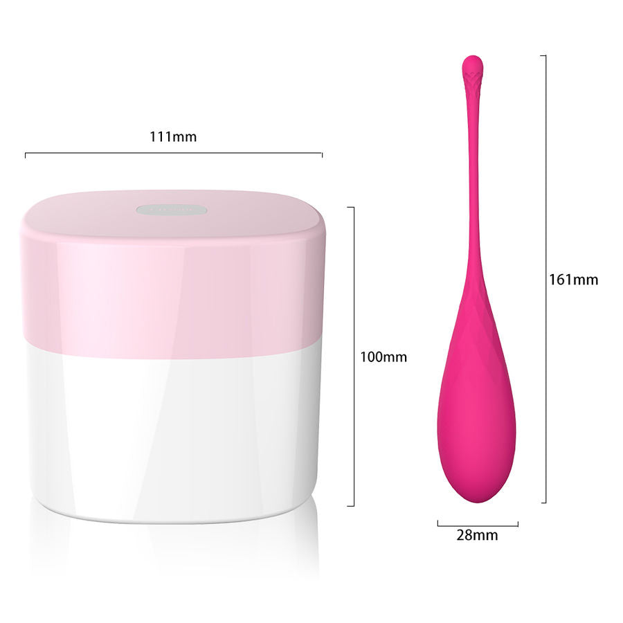 LESLIE - KEGEL FIT PELVIC FLOOR DELIVERY 6 PESOS