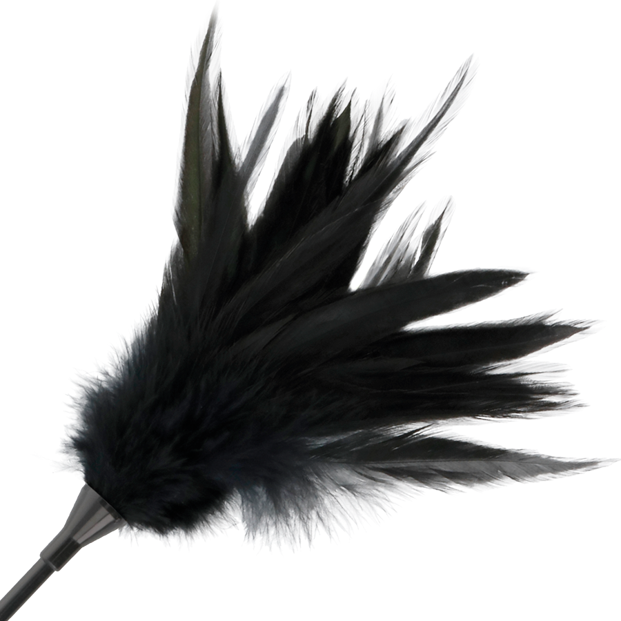 DARKNESS - FOUET AVEC PLUME NOIR