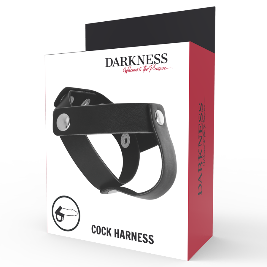 DARKNESS - ANNEAU EN CUIR POUR PÉNIS ET TESTICULES