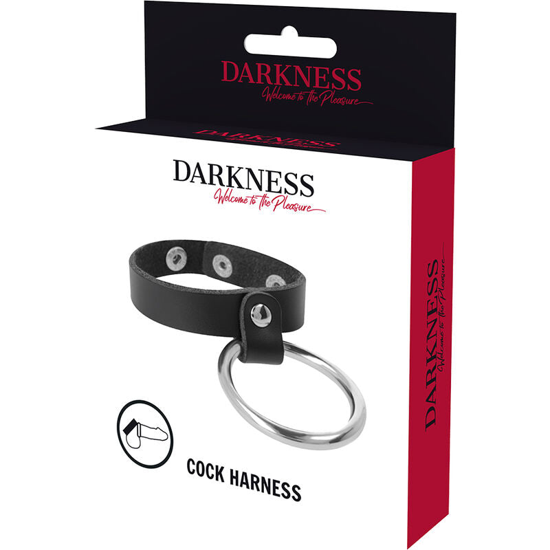 DARKNESS - ANNEAU EN MÉTAL POUR PÉNIS ET TESTICULES