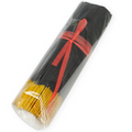 TENTATION - JEU D'ENCENS ÉROTIQUE AUX PHÉROMONES MANGUE EXOTIQUE